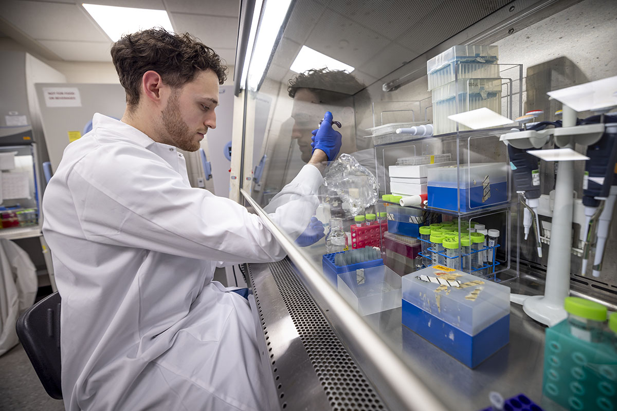 Researcher works in lab Placeholder Image