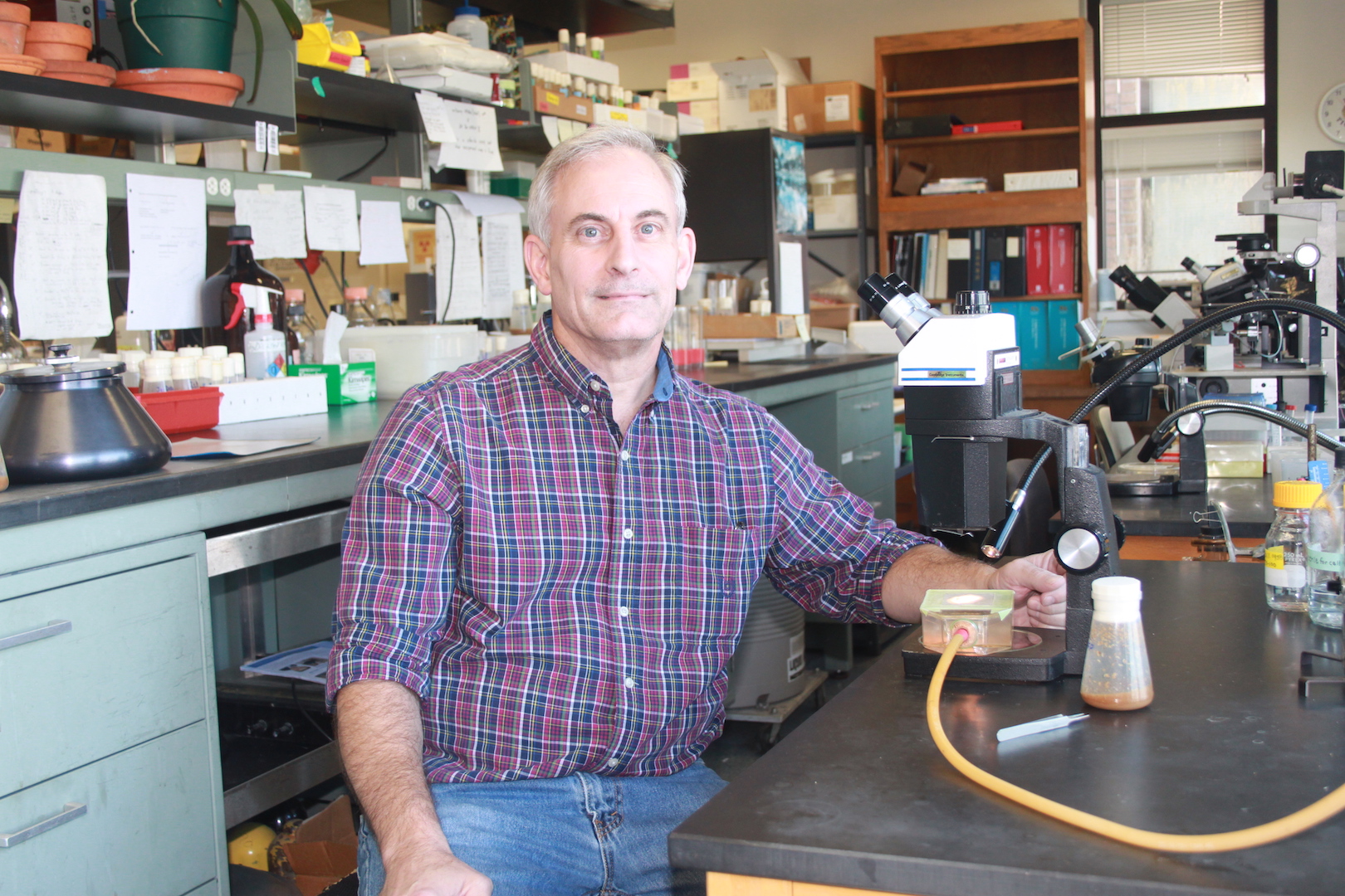 Dr. Patrick DiMario Dr. Patrick DiMario