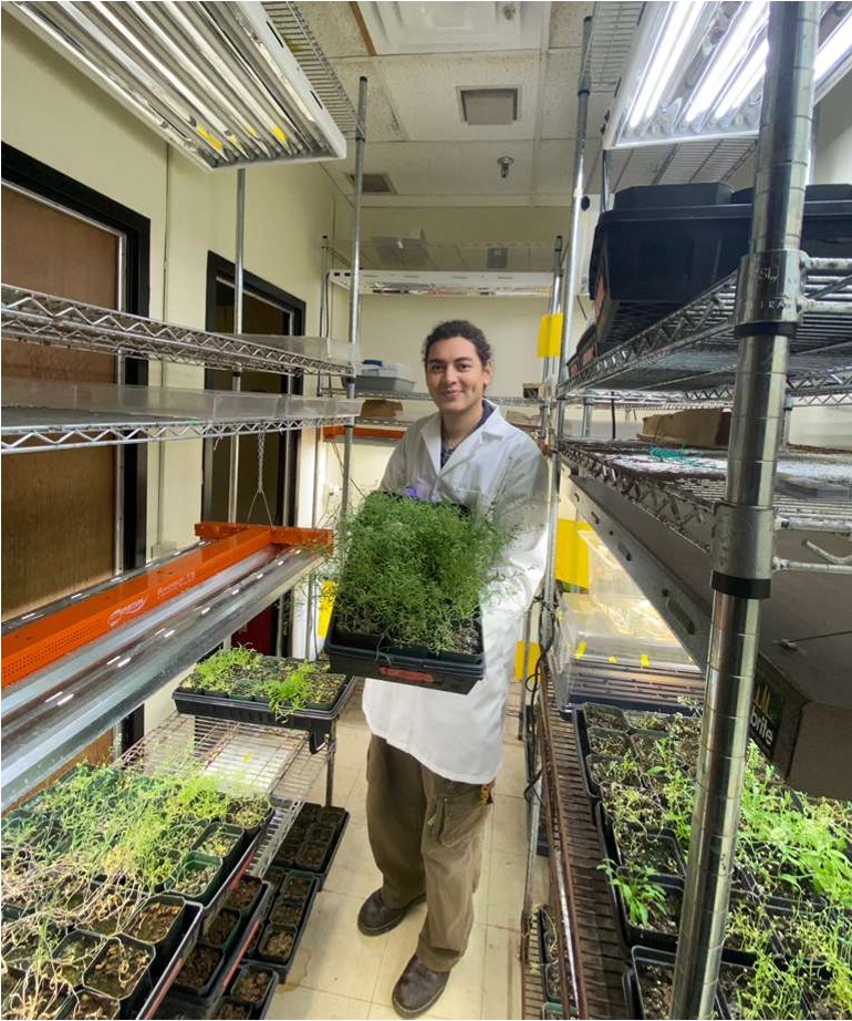 Mohamed Elgallad holding plants