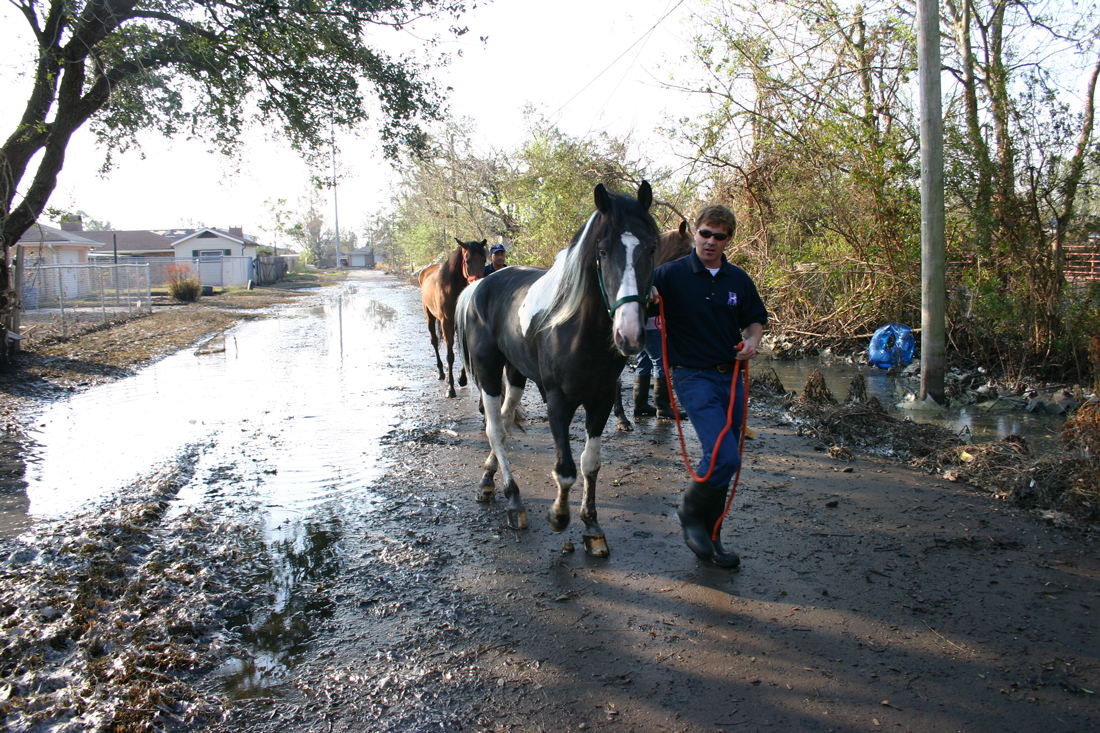 Ky Mortensen leading a horse