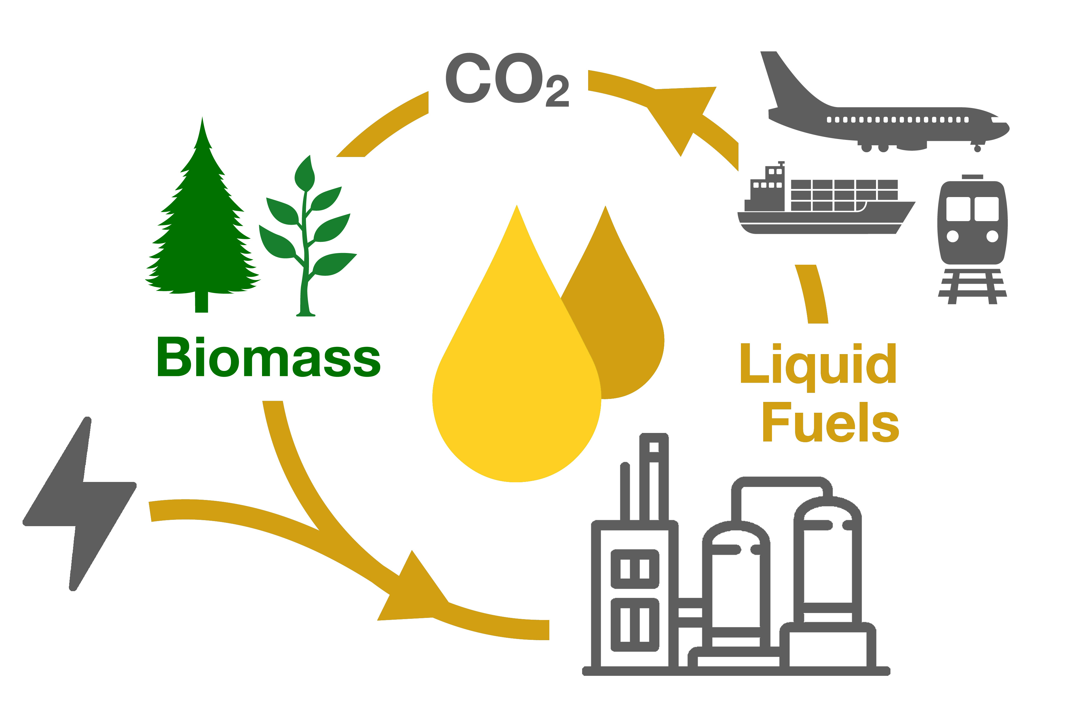 Description of the team's process
